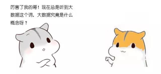 漫畫(huà)大數(shù)據(jù)