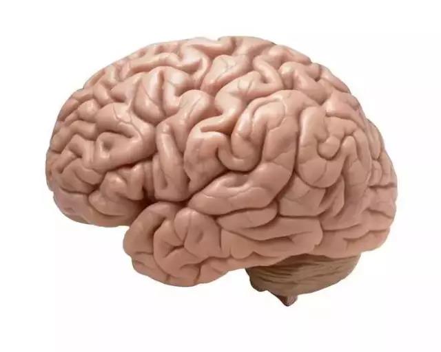 馬斯克腦機(jī)融合系統(tǒng)Neuralink
