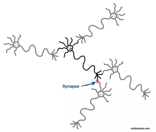 馬斯克腦機(jī)融合系統(tǒng)Neuralink